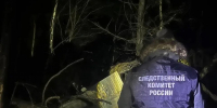 Перед судом предстанет пилот, допустивший крушение легкомоторного самолета в Московской области - Западное следственное управление на транспорте