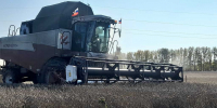 Фото: Евгений Шумилов - Алтайская правда