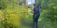 19-летний нижегородец погиб под колесами электрички - Сетевое издание Живем в Нижнем