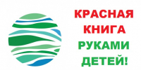 Юных вологжан приглашают к участию в Международном конкурсе-выставке детского творчества «Красная книга глазами детей» - Правительство Вологодской области