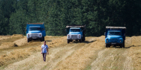 Фото: ПАИ - InformPskov.Ru