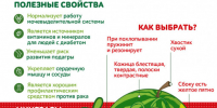 . - ГУЗ ЛГП №1