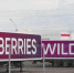 СИТ заявил, что селлеры Wildberries не планируют массово уходить с площадки - M24.Ru