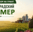 В Ленинградской области начался прием заявок на грант «Ленинградский фермер» - Сетевое издание Киришский факел