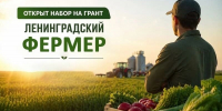 В Ленинградской области начался прием заявок на грант «Ленинградский фермер» - Сетевое издание Киришский факел