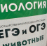 В Госдуму внесут закон об отмене единого госэкзамена - SeverPost.ru