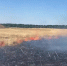 В Крыму локализовали пожар на площади 15 гектаров></div>
	<div class= - Вести.Севастополь