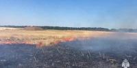 В Крыму локализовали пожар на площади 15 гектаров></div>
	<div class= - Вести.Севастополь