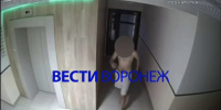 Неизвестный проник в квартиры лискинского ЖК и избил женщину - ГТРК Воронеж