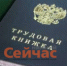 Нижегородским работодателям выплатили свыше 166 млн за трудоустройство граждан - ИА Нижний сейчас