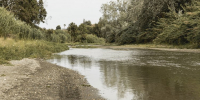 forest-near-river-landscape - ТРК Щелково