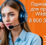 Горячая линия для продавцов Wildberries - Комитет по развитию малого, среднего бизнеса и потребительского рынка