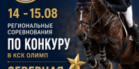 Региональные соревнования «Северная звезда-2026». «Заочный Кубок молодежи по конкуру. Всероссийская серия» - Федерация конного спорта