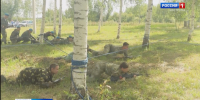 Патриотический лагерь Беркута.mp4_snapshot_00.26.895.jpg - ГТРК Кострома