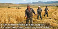 В Туве выберут лучших ручных косарей - ИА Тува-Онлайн