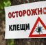 Роспотребнадзор напоминает о защите от клещей - Орлиновский муниципальный округ