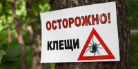 Роспотребнадзор напоминает о защите от клещей - Орлиновский муниципальный округ