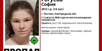 В Тверской области может находиться пропавший ребенок из соседнего региона - Афанасий-биржа