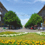 улица Мира1 - В курсе