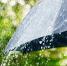 Фото: Brian A Jackson/Shutterstock/Fotodom - Ямал-Медиа