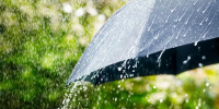 Фото: Brian A Jackson/Shutterstock/Fotodom - Ямал-Медиа