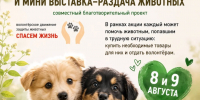 IMG_20260806_171852.png - Администрация г. Владивостока
