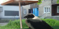 Кузбасс продолжает жить в долг - ИА Город Новостей
