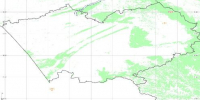 Лесных пожаров не зафиксировано на 07.08.2026 (оперативные данные) - Минприроды Алтайского края