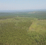 Пятый класс пожарной опасности продлили в поселке Козыревск на Камчатке - КП Владивосток