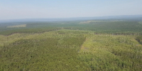 Пятый класс пожарной опасности продлили в поселке Козыревск на Камчатке - КП Владивосток