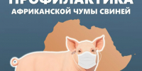 Сообщайте о случаях заболевания - Rayon72.Ru