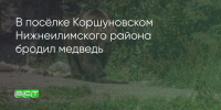 Поделитья во ВКонтакте - Братская Студия Телевидения