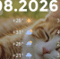 Bazaart_368C2D59-2DD4-454C-AAE0-69D5A58EB9D6 - ЗА Новомосковск