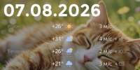Bazaart_368C2D59-2DD4-454C-AAE0-69D5A58EB9D6 - ЗА Новомосковск