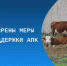Аграрии Курганской области получат порядка 85 млн рублей. - Каргапольский муниципальный округ