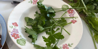 Ароматную петрушку и кинзу не морожу — запасаю кубиками: вкус на максимуме, цвет — как с грядки - Progorod33.Ru