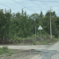 В городе Оби спиливают аварийные деревья - Совет муниципальных образований