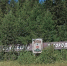 Шесть жителей Североуральска получат Почетные грамоты ЗакСо - ProSeverouralsk.Ru