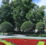 Разработать проекты общественных пространств и выиграть миллион рублей могут студенты Приморья - Администрация Приморского края