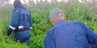 Пропавшего ульяновца искали в заброшенных сада у ТЭЦ-3 - Ulpravda.Ru