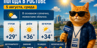 Жара не отступает: каким будет погода в Ростове-на-Дону 7 августа - Bloknot-Rostov.Ru