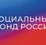 Благодаря субсидиям от Отделения СФР по Брянской области за 5 лет нашли работу 400 человек. - Администрация Дубровского района