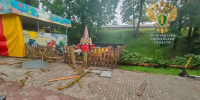 Смоленская прокуратура инициировала проверку по факту гибели ребенка и женщины под упавшими деревьями - Смоленск 2.0