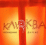 Проект пленэра "Клюква" вновь возвращается в выставочные залы Центра культурных инициатив "Югор" - ИА Комиинформ