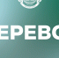 Информация по переводу - ПМФИ