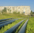 32de4aba-0e79-440e-adfa-5c5f70ec106e.jpg - Ртищевский район