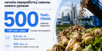 55 тысяч тонн сахара произвели из нового урожая свеклы заводы Кубани - Газета Краснодарские известия