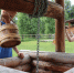 ПРИГЛАШАЕМ В МУЗЕЙНЫЙ ПАРК - Shushenskoe.Info