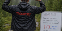 В Карелии мужчина собрал 179 килограмм черники за один день - Gubdaily.Ru