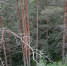 background - Вологда-поиск